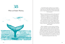 Load image into Gallery viewer, 50 Things to Do at the Beach