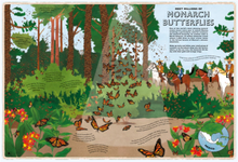 Load image into Gallery viewer, Atlas of Adventures