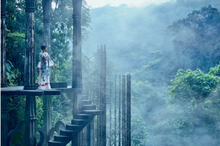 Load image into Gallery viewer, Vogue on Location