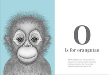 Load image into Gallery viewer, The Animal Alphabet