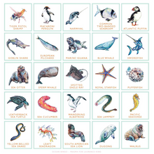 Load image into Gallery viewer, Ocean Bingo