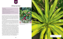 Load image into Gallery viewer, Tropical Plants and How to Love Them
